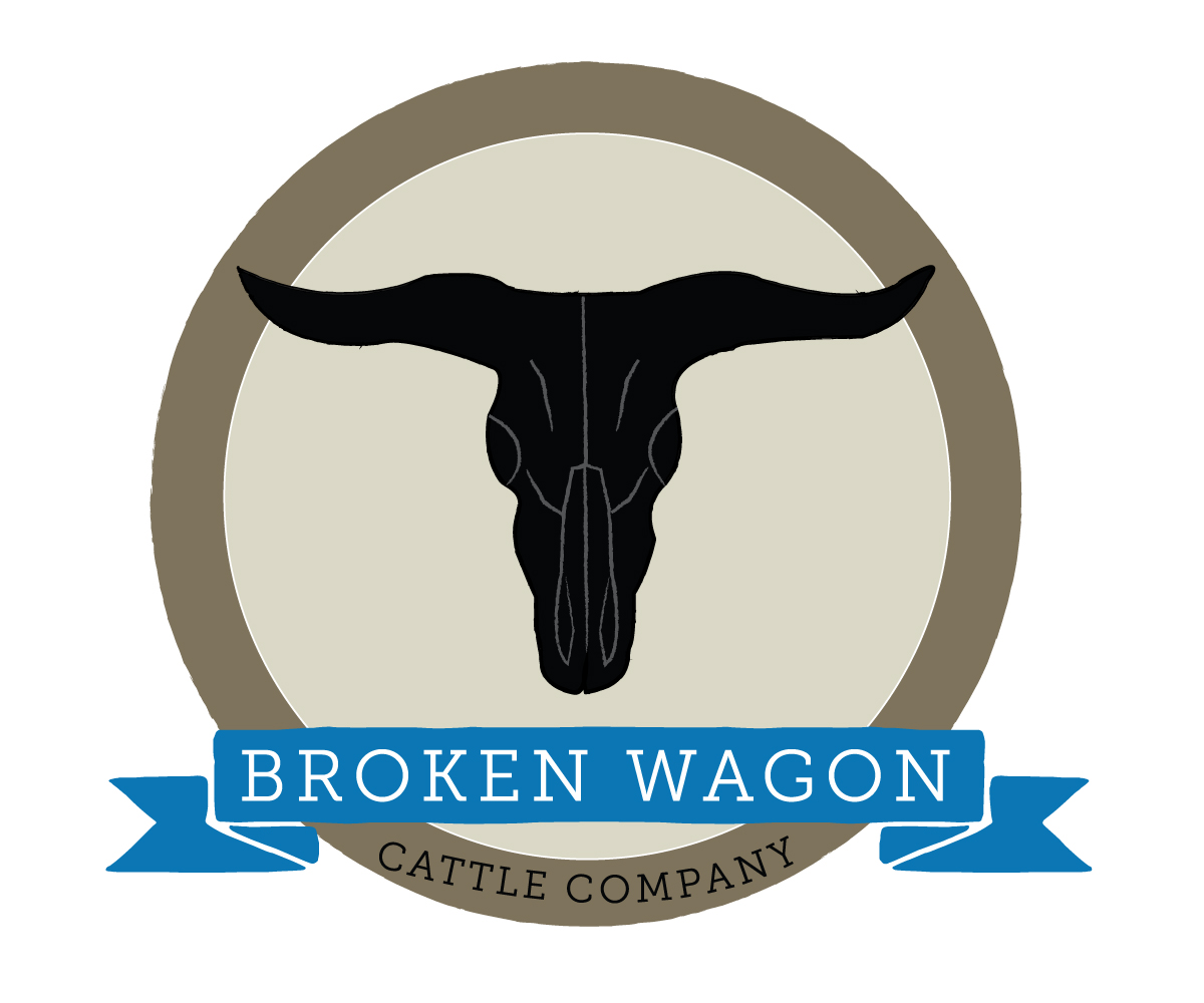 Logo Design by design1243 for this project | Design #6349119