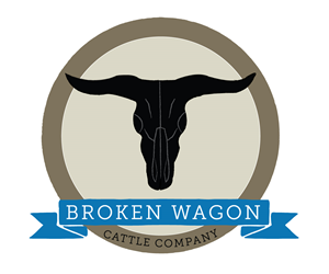 Logo Design by design1243