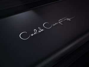 Logo Design by illastrator design for this project | Design: #15574915