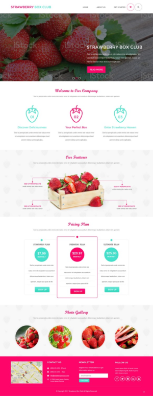 Diseño Web por pb para este proyecto | Diseño: #15565965