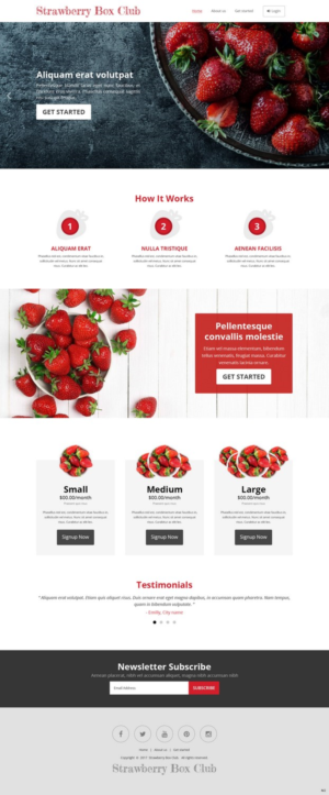Diseño Web por pb para este proyecto | Diseño: #15565970