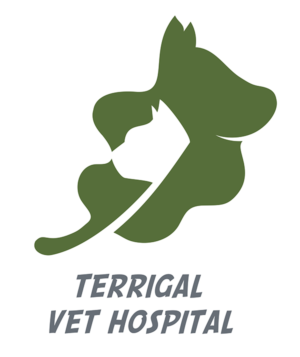 Logo Design by Rahul97