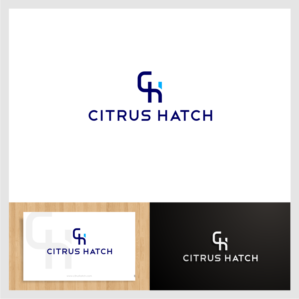 Logo Design by momo57