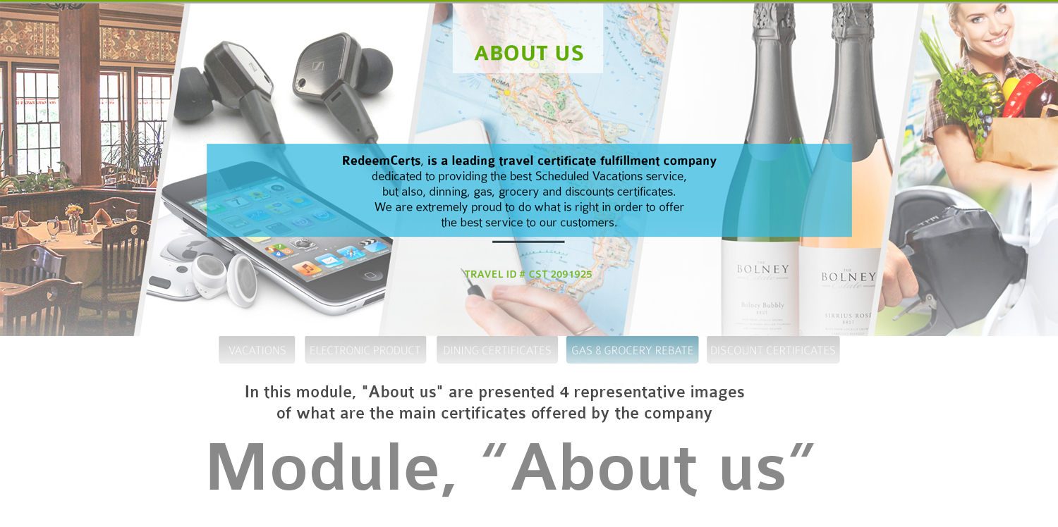 Web Design by angelcolmenares3 for Shane | Design #15667733