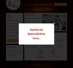 Web Design by pb for Flavia Cleans | Design: #15598653
