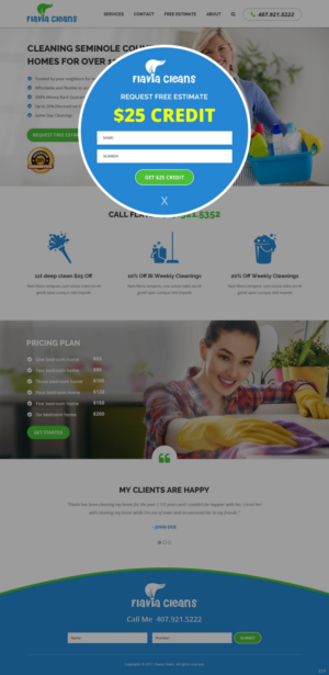 Web Design par pb pour Flavia Cleans | Design : #15628228