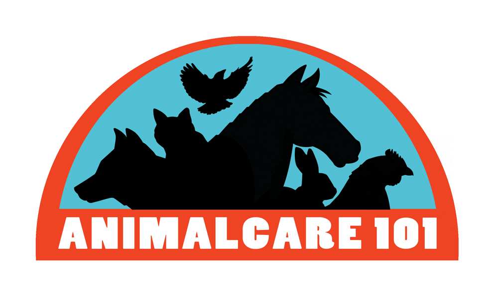 Logo Design by toyroom for Tailormade SEO | Design #2603334