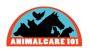 Logo Design by toyroom for Tailormade SEO | Design: #2603334