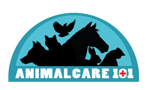 Logo Design by toyroom