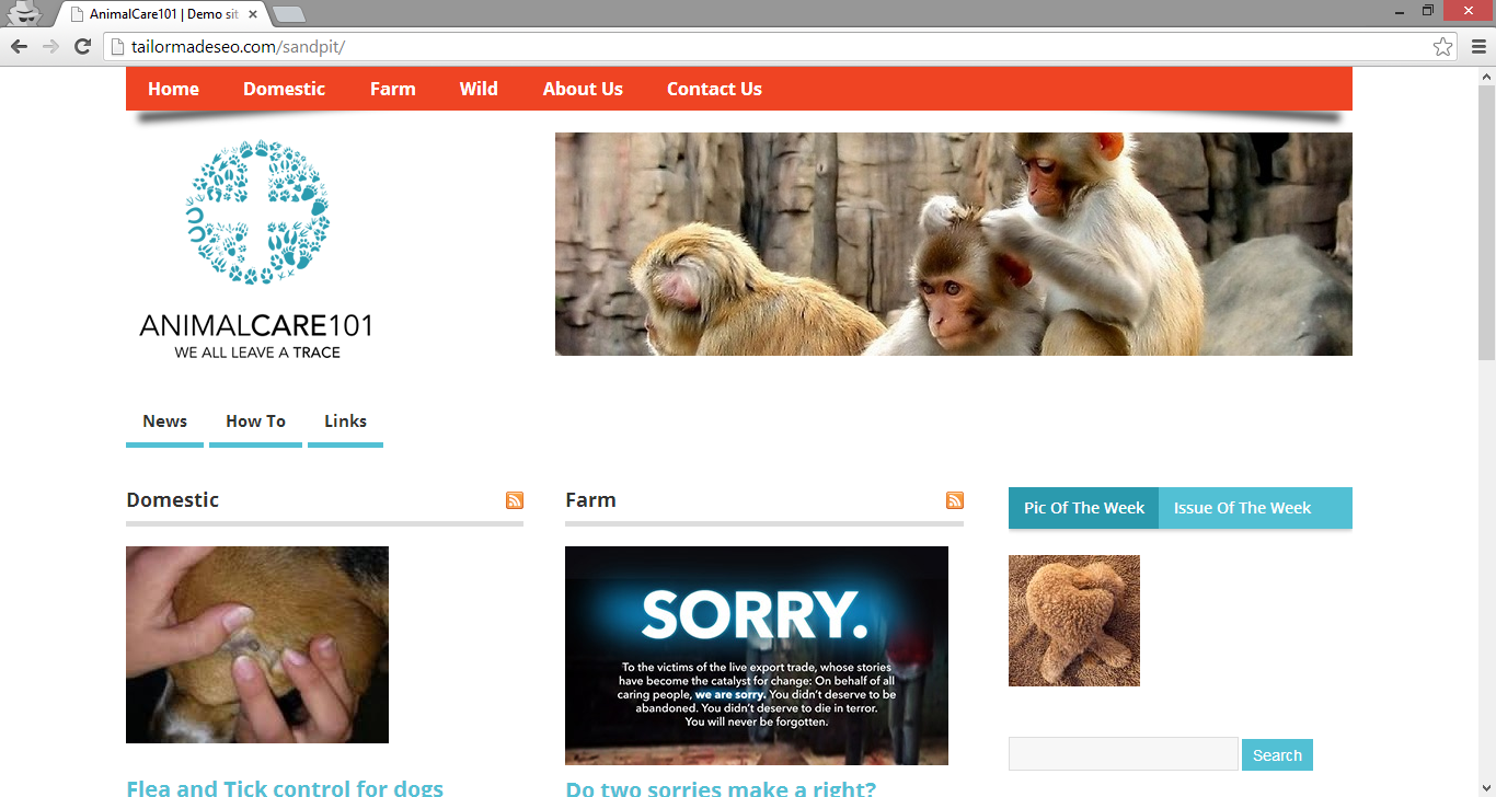 Logo Design by nt for Tailormade SEO | Design #2615565