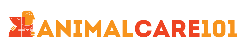 Logo Design by Irina Makedonska for Tailormade SEO | Design #2638427