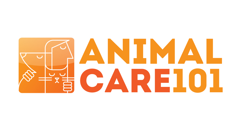 Logo Design by Irina Makedonska for Tailormade SEO | Design #2666838