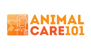 Logo-Design von Irina Makedonska für Tailormade SEO | Design #2666838