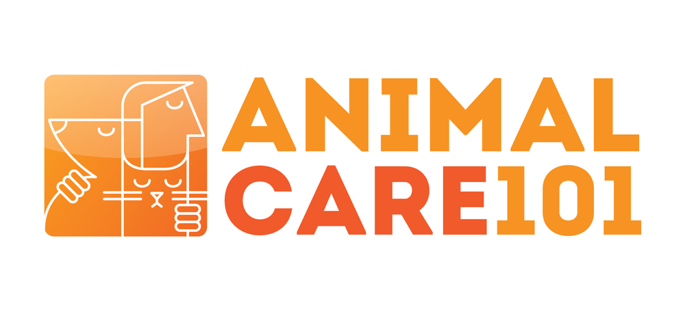 Logo-Design von Irina Makedonska für Tailormade SEO | Design #2675723