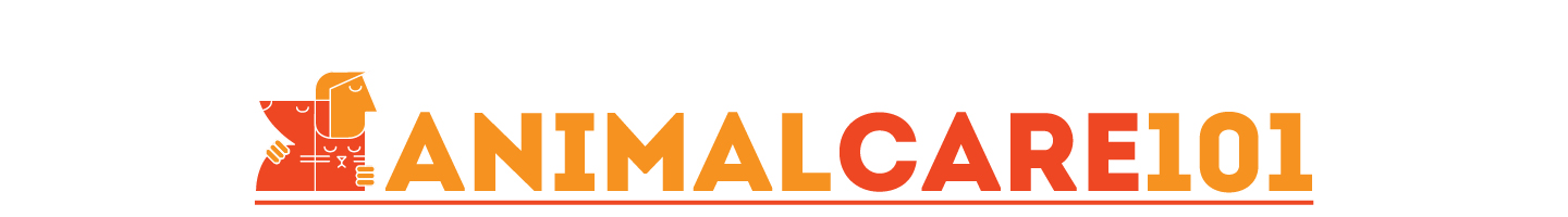 Logo-Design von Irina Makedonska für Tailormade SEO | Design #2675737