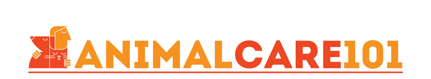 Logo Design by Irina Makedonska for Tailormade SEO | Design #2675738