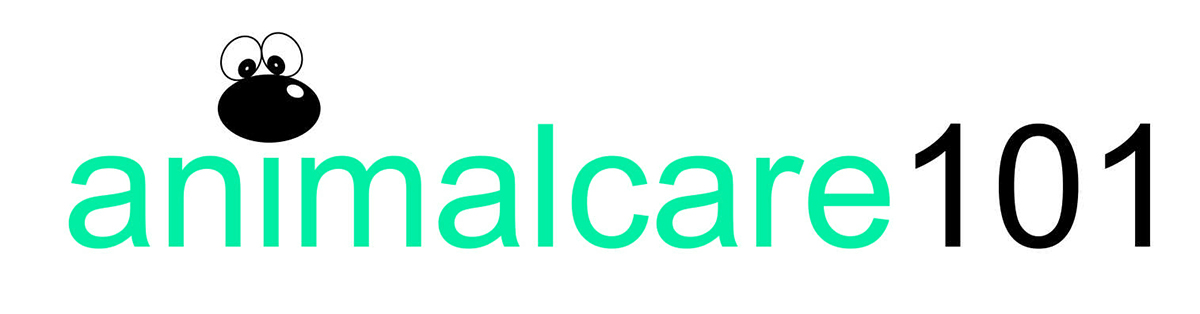 Logo Design by Daniel Shahril for Tailormade SEO | Design #2594503