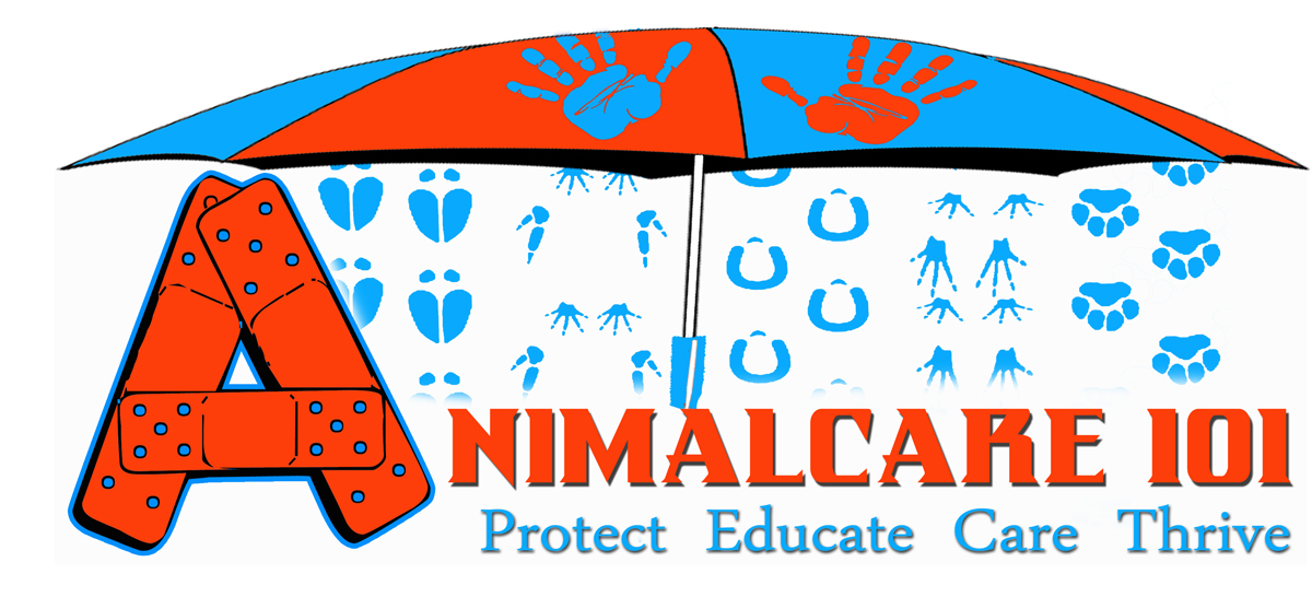 Design de Logo par mcink pour Tailormade SEO | Design #2615506