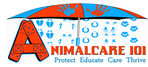 Logo Design by mcink