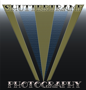 Logo Design by Showstarmedia