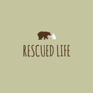 Logo Design by Mecailla