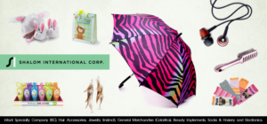Web Design par Janith N. pour Shalom International Corporation | Design #15616816