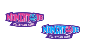 Logo Design by Valtti Design
