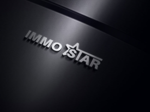 Design de Logo par jan2you pour Immostern | Design : #15615588