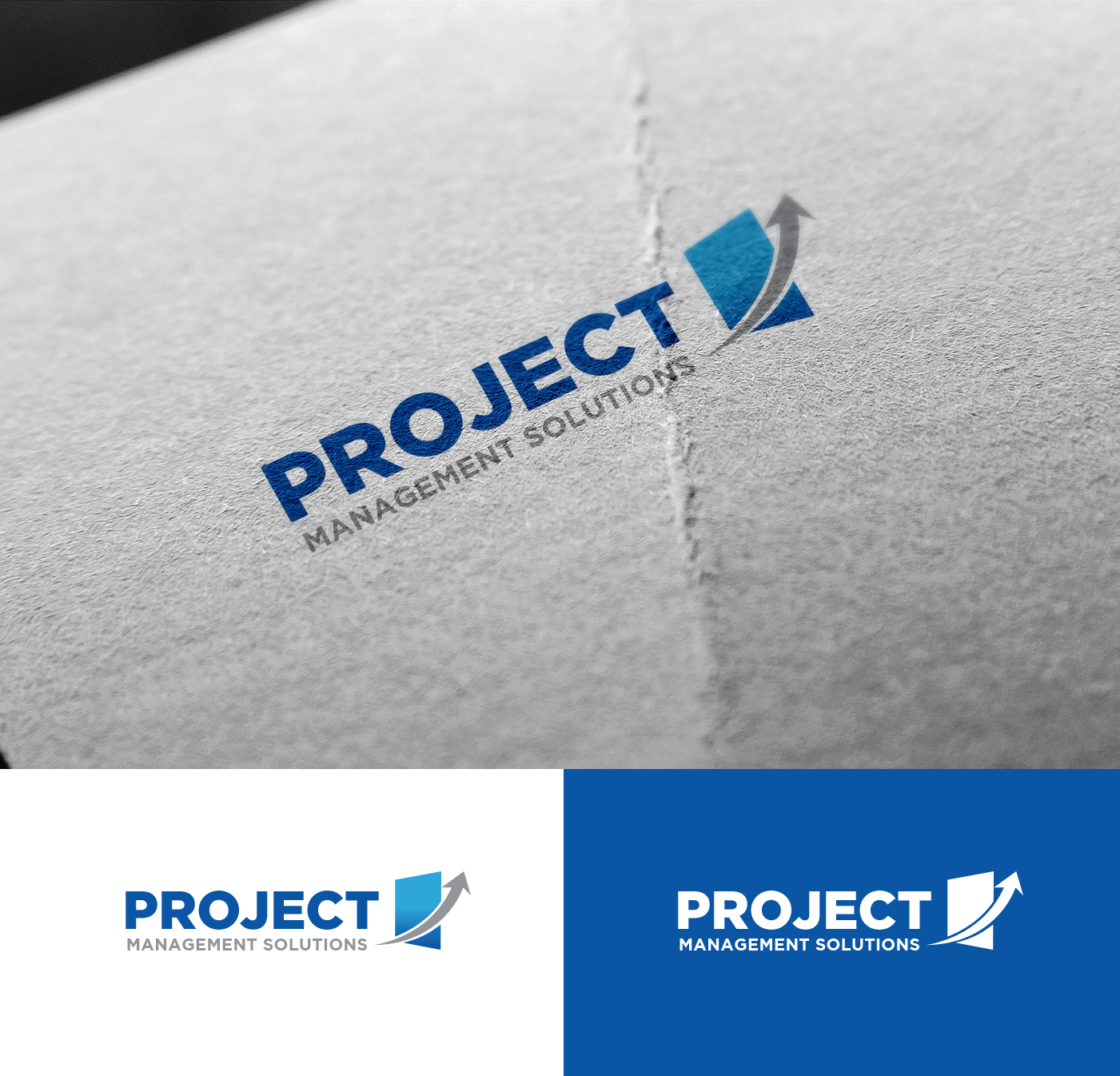 Logo Design by cracuz09 for Project Management Solutions | Design #15621579