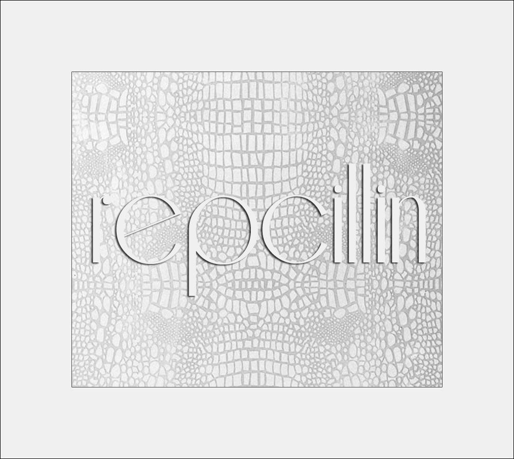 Logo Design by Julow Computing and Design for this project | Design #2619645