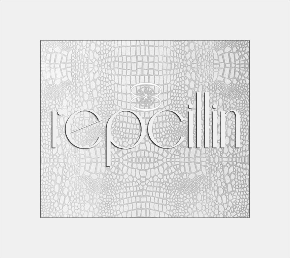 Diseño de Logo por Julow Computing and Design para este proyecto | Diseño #2619647