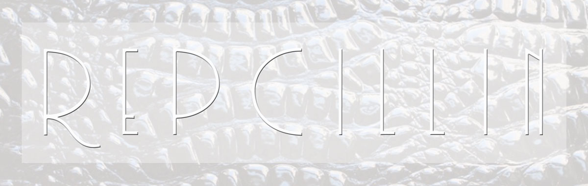 Diseño de Logo por Julow Computing and Design para este proyecto | Diseño #2619657