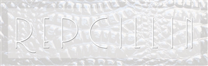 Diseño de Logo por Julow Computing and Design para este proyecto | Diseño #2619657