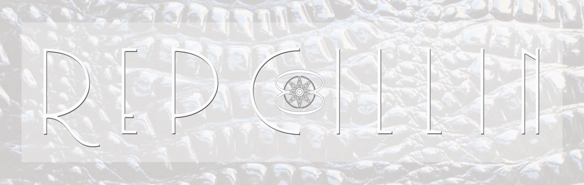 Diseño de Logo por Julow Computing and Design para este proyecto | Diseño #2619661