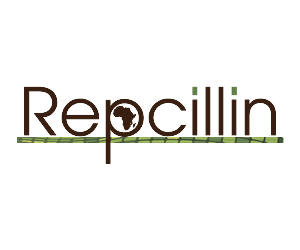 Logo Design by baylishka for this project | Design #2603174