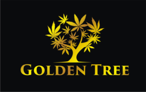 Logo Design by Soul Light for Advancz Management Inc | Design: #15630483