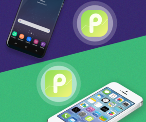 Icon Design by NeptuneVN for this project | Design: #15608122