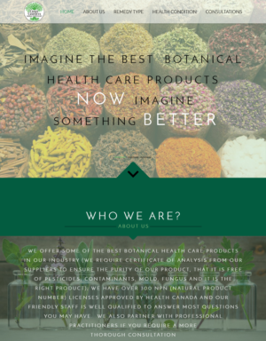 Web Design by OmarSayed for this project | Design: #15694876