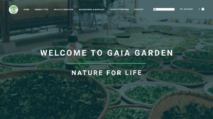 Web Design par nruxandra20 pour ce projet | Design #15695751