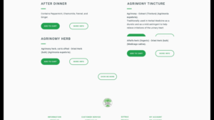 Web Design by nruxandra20 for this project | Design: #15695884