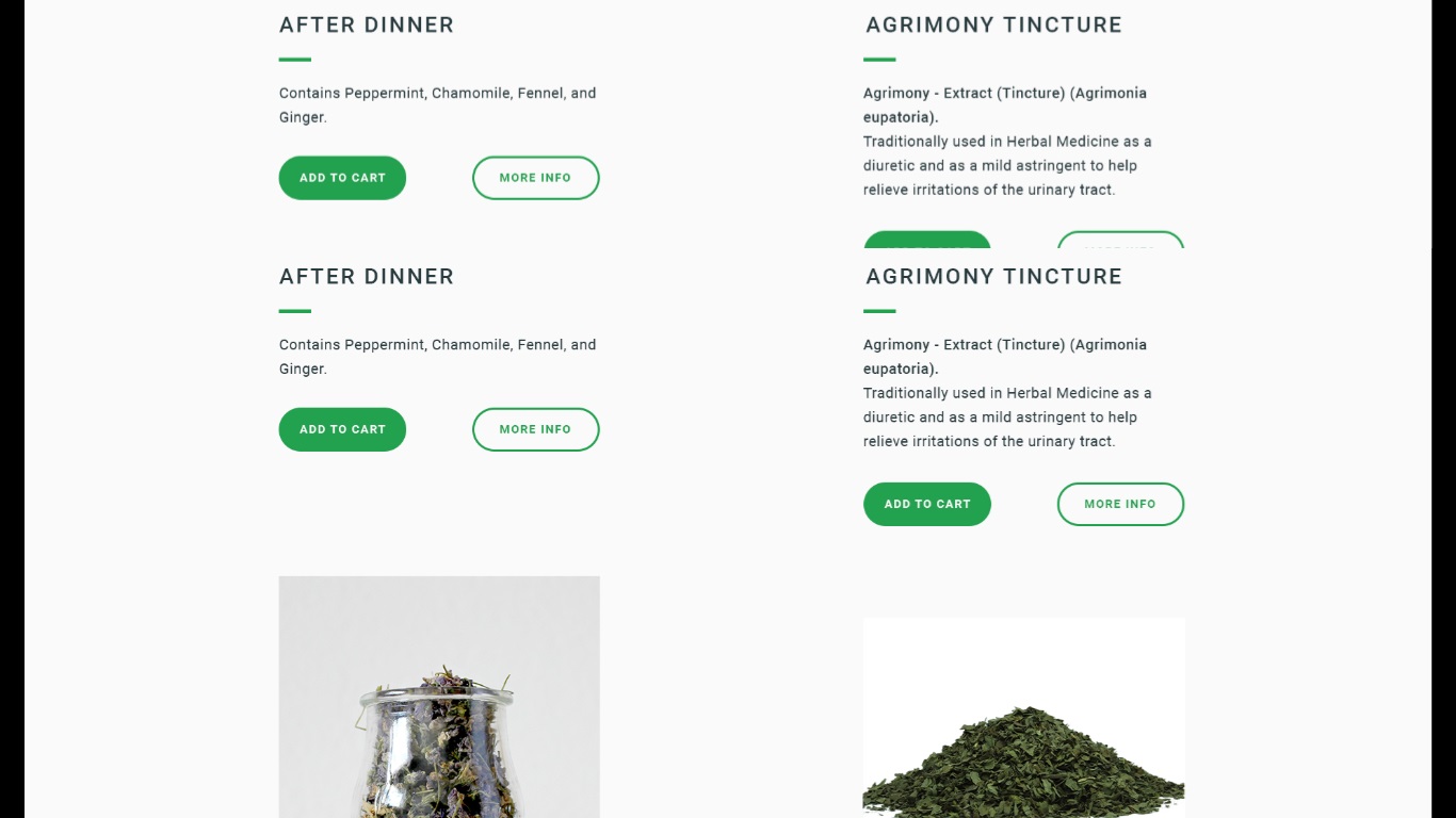 Web Design by nruxandra20 for this project | Design #15695885