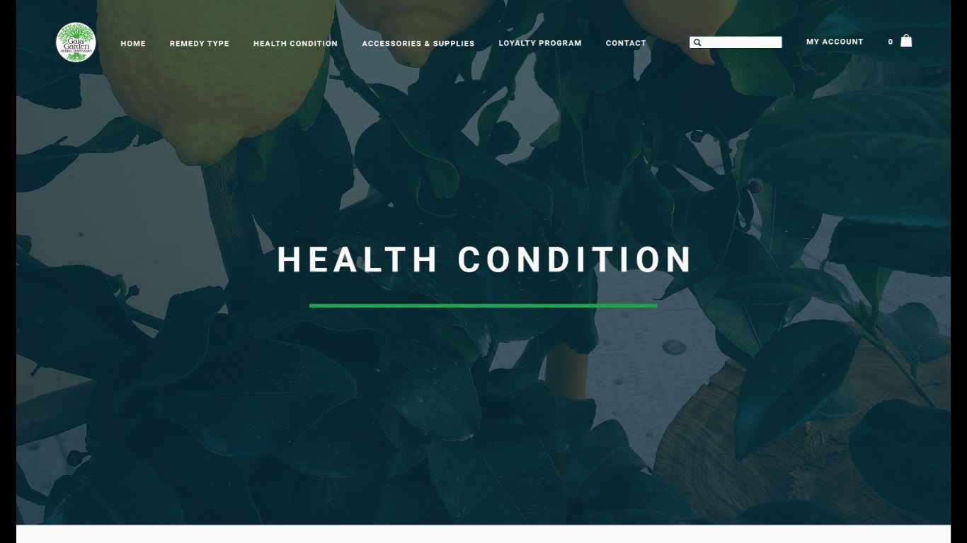 Web Design by nruxandra20 for this project | Design #15695887