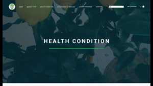 Web Design by nruxandra20 for this project | Design: #15695887