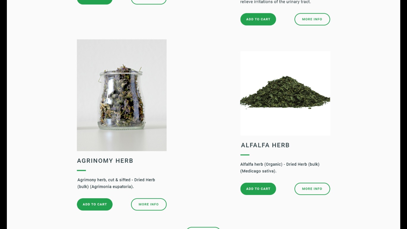 Web Design by nruxandra20 for this project | Design #15695889