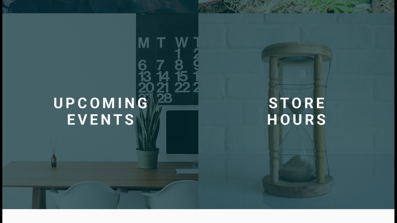 Web Design by nruxandra20 for this project | Design #15695894