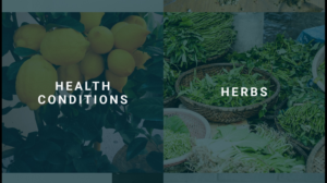 Web Design by nruxandra20 for this project | Design: #15695895