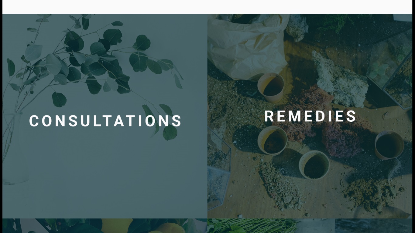 Web Design by nruxandra20 for this project | Design #15695896