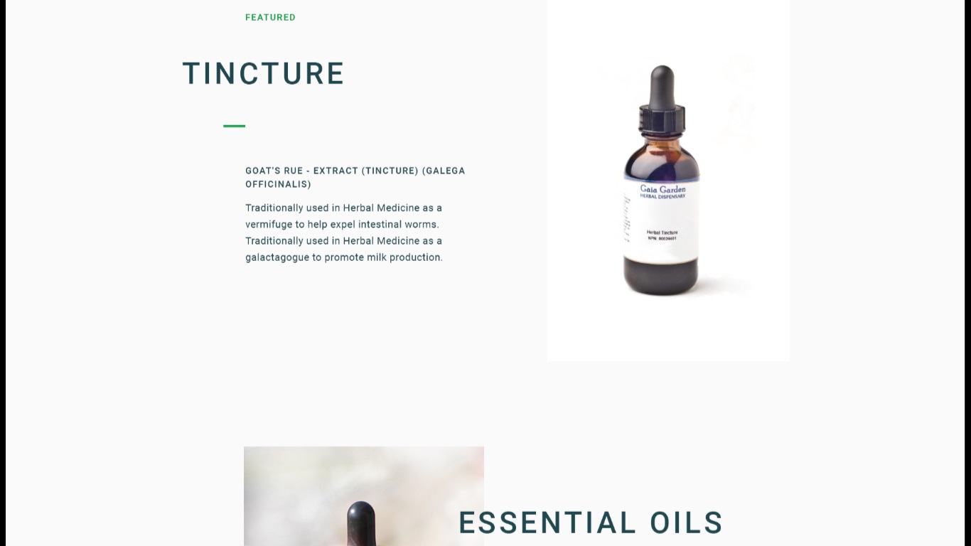 Web Design by nruxandra20 for this project | Design #15695898