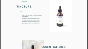 Web Design by nruxandra20 for this project | Design: #15695898