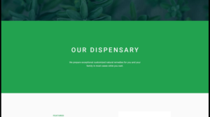 Web Design by nruxandra20 for this project | Design: #15695899
